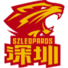 深圳领航者B队 深圳领航者B队